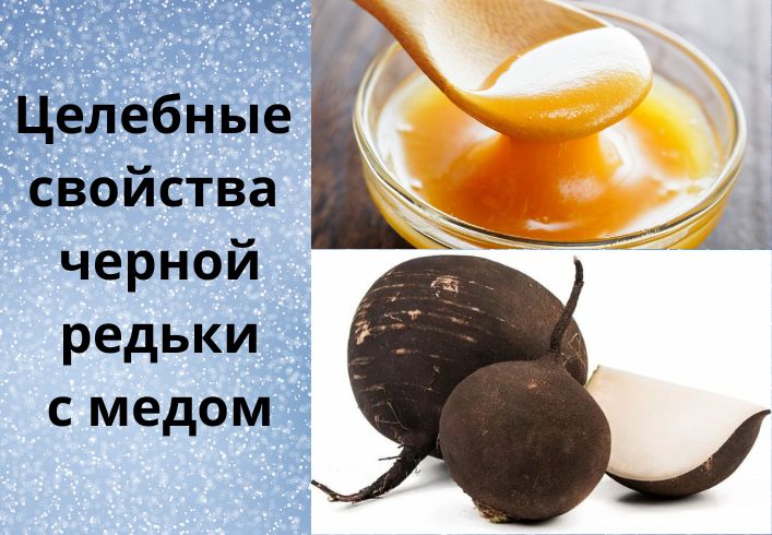 Рецепт редьки от кашля взрослым. Редька с мёдом от кашля рецепт. Лук с медом от кашля.